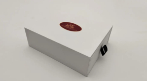 CMC Auspuffanlage Sebring Exhaust Porsche 904 Carrera GTS